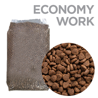 Economy_Work.jpg